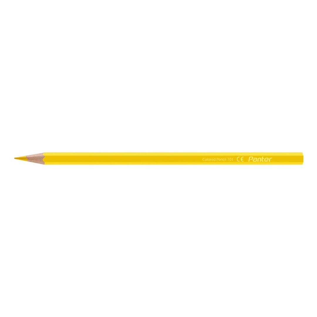 تصویر مداد رنگی استوانه ای 24 رنگ پنتر |  7 inch